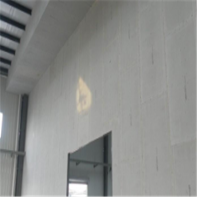 津南宁波ALC板|EPS加气板隔墙与混凝土整浇联接的实验研讨
